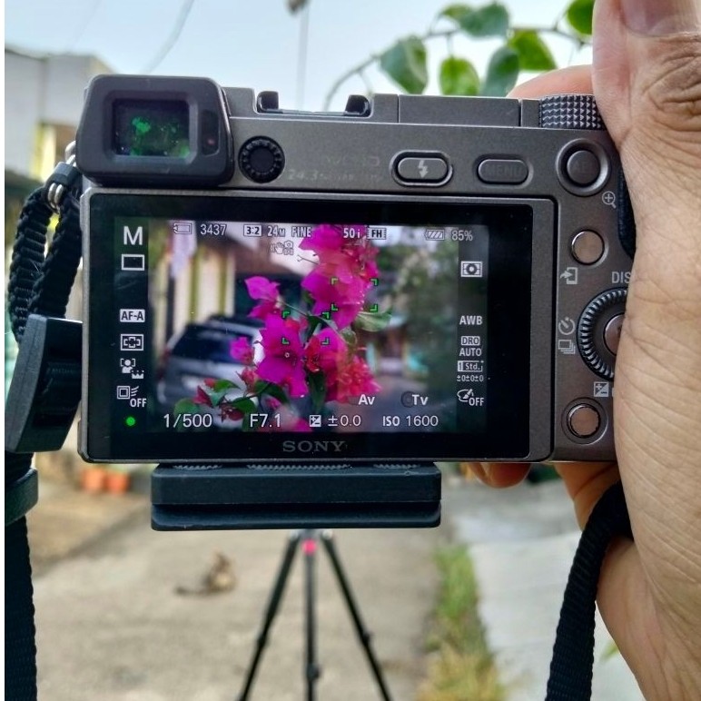 Kamera Mirrorless Sony a6000