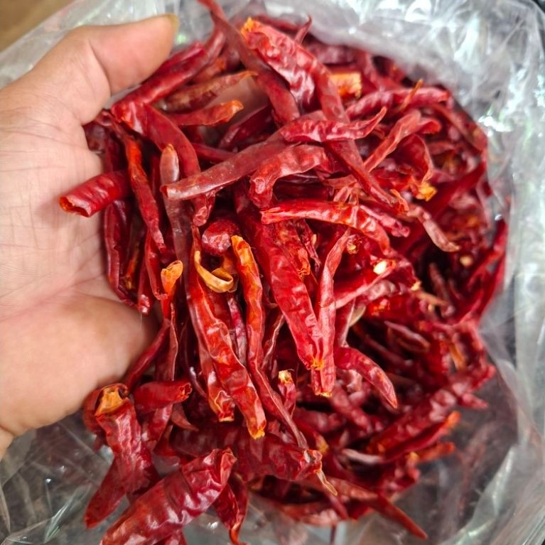 CABE RAWIT TEJA KERING SUPER PEDAS