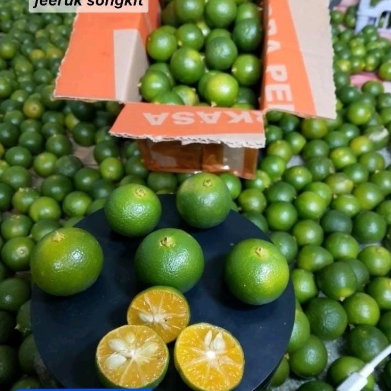 jeruk sonkit kasturi, jeruk kiamboy (1.kg ukuran kecil)