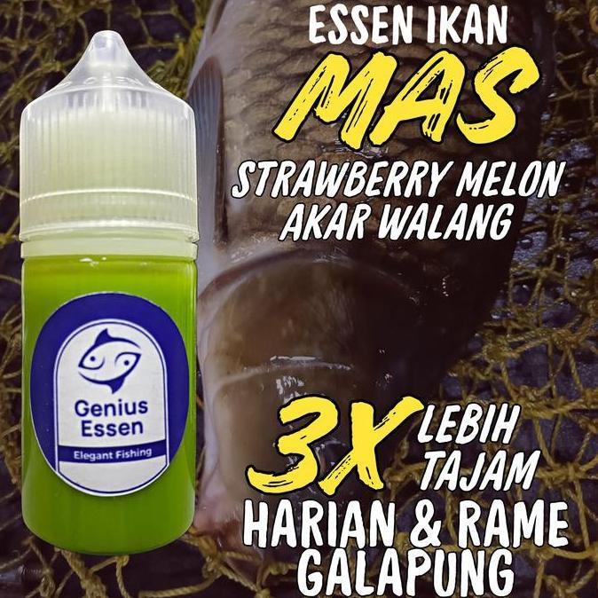 Premium Essen Ikan Mas Aroma Strawberry Melon Akar Walang Essen Ikan Mas Lomba Galapung Galatama Ess