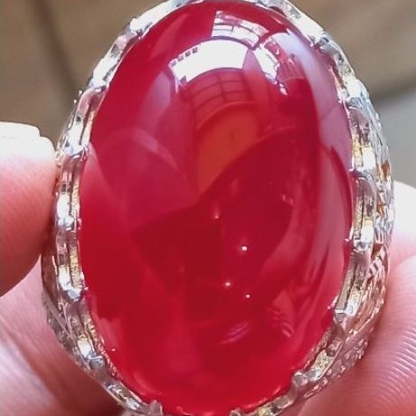 NATURAL CEMPAKA MERAH ACEH ( JUMBO )