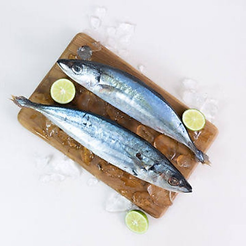 Ikan Layang Segar/ Ikan Layang Fresh Frozen 1Kg