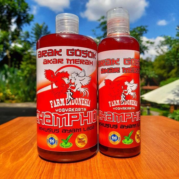 OBAT GOSOK CHAMPI0NS AKAR MERAH - 500 ml