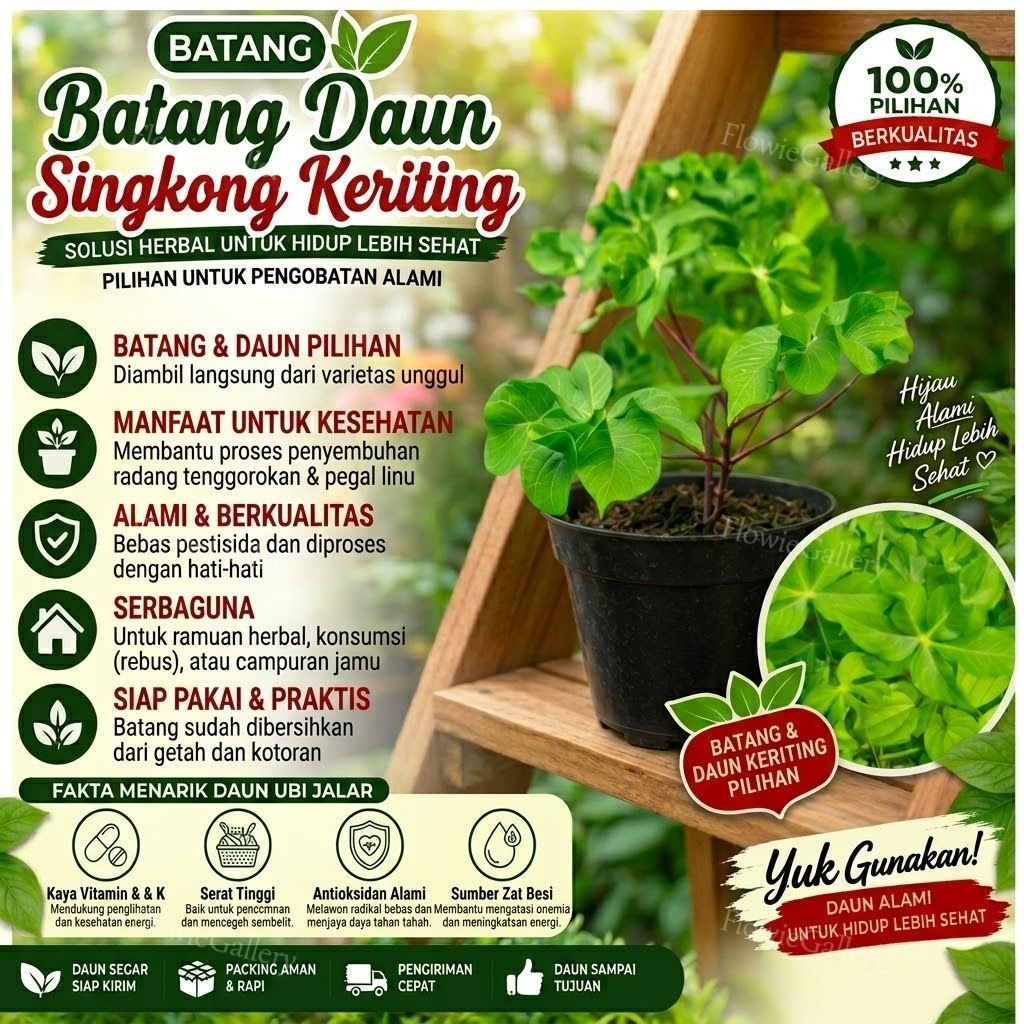 Batang daun singkong keriting, daun singkong unik keriting