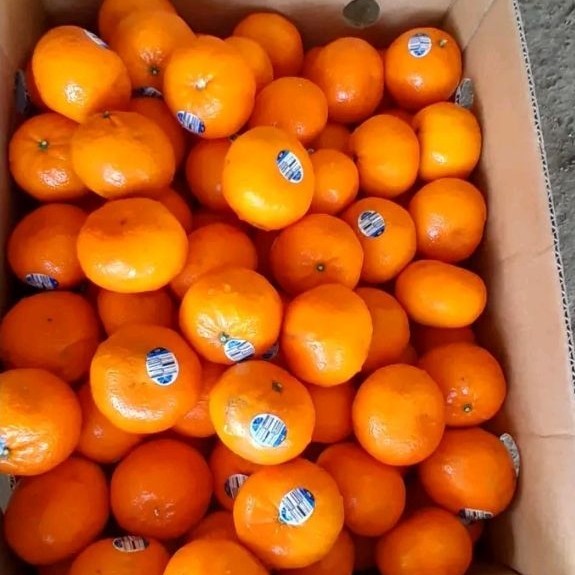 Buah premium Jeruk Mandarin Sweet Wokam/Wogan Manis Tanpa Biji