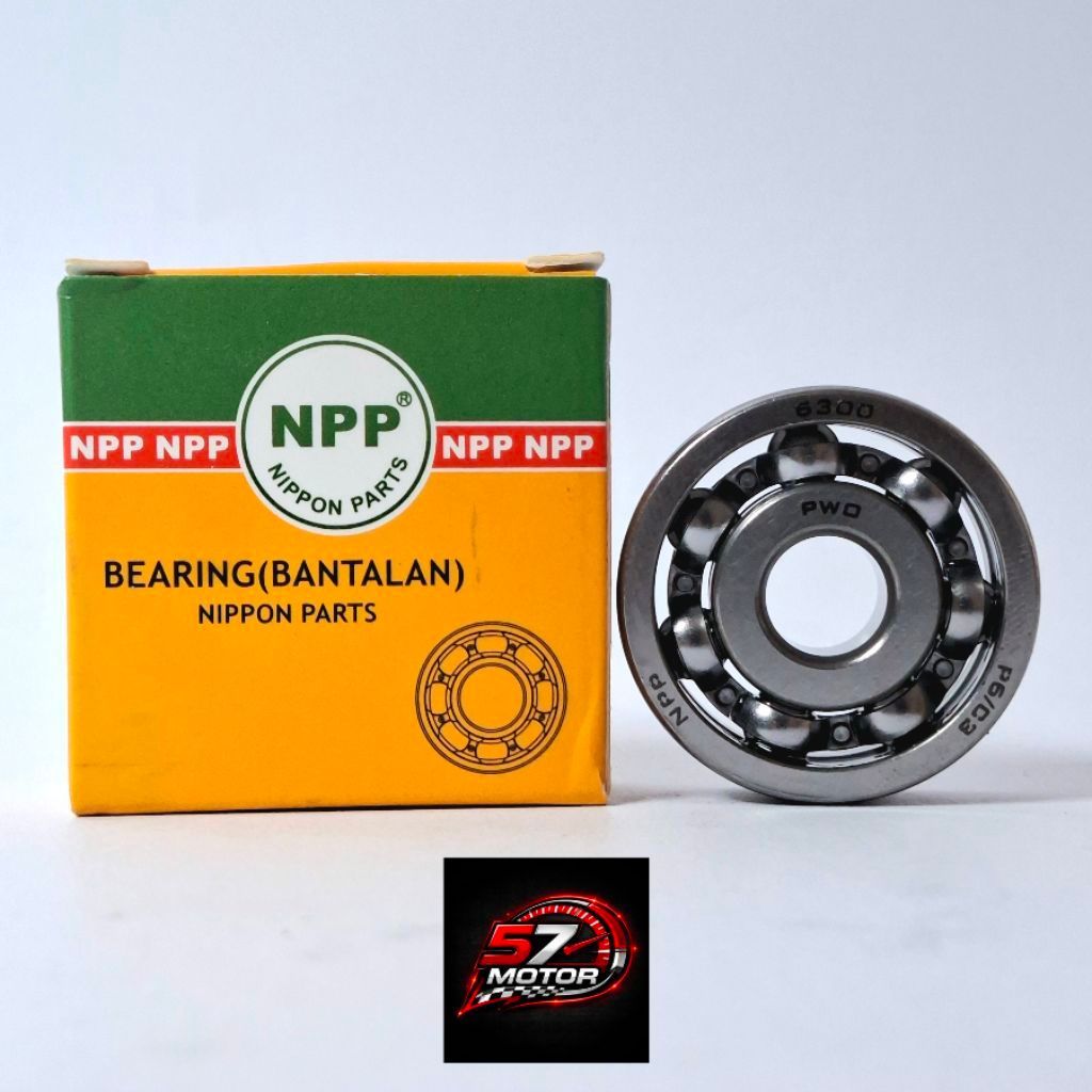 Bearing 6300, 6300 1RS, 6300 2RS NPP