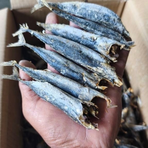 ikan asin tongkol rebus tanpa kepala 1000 gram