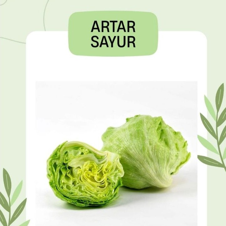 letuce/ iceberg