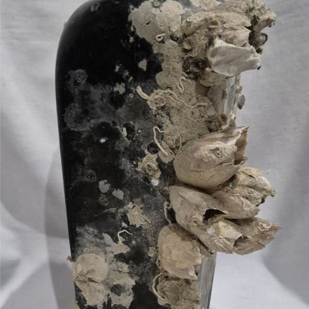 botol belanda tua temuan laut antik