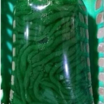 DAWET SAGU HIJAU 500GR/DAWET MURAH/TOPPING ES DAWET/CENDOL SAGU/CENDOL MURAH