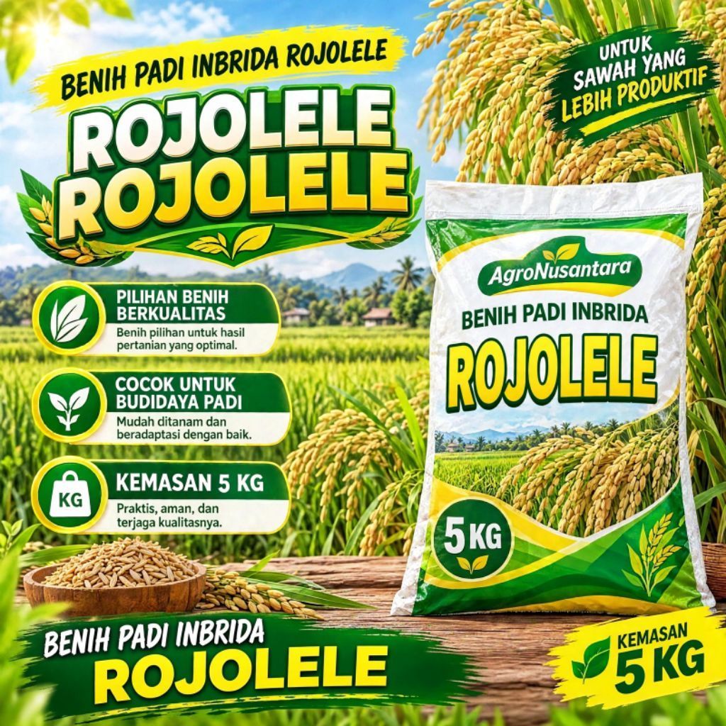benih padi rojolele 5KG