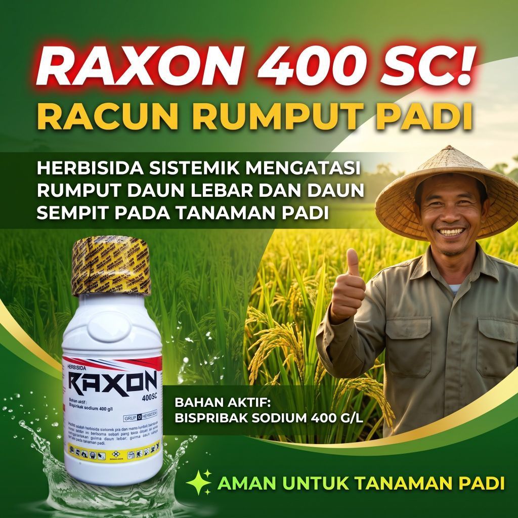 HERBISIDA SISTEMIK PADI - Raxon Racun Rumput Padi
