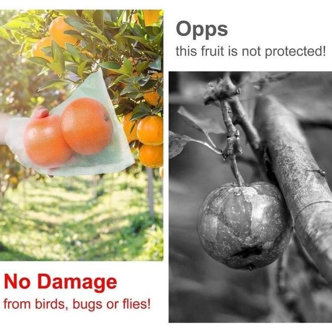 -100Pcs Kantong Jaring Pembungkus Buah Kantong Jaring Pembungkus Buah Anggur Klengkeng Strawberry Dl