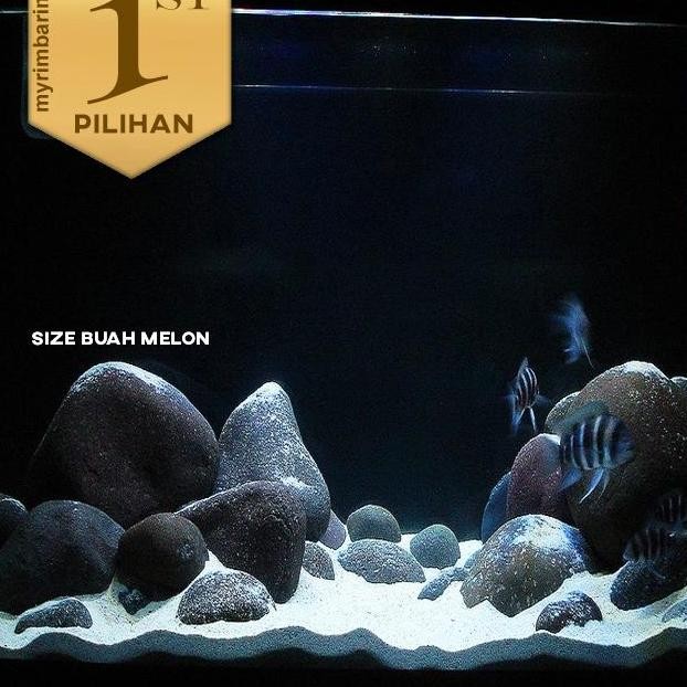 Batu Sungai Jumbo Melon Hiasan Aquarium Ikan Hias Aquascape