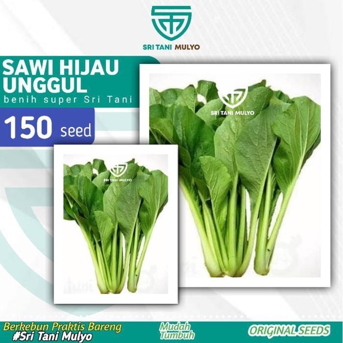 Cod - 150 Biji - Benih Sawi Hijau Unggul - Bibit Sawi Manis Benih Sayuran Bibit Sayuran Seribuan