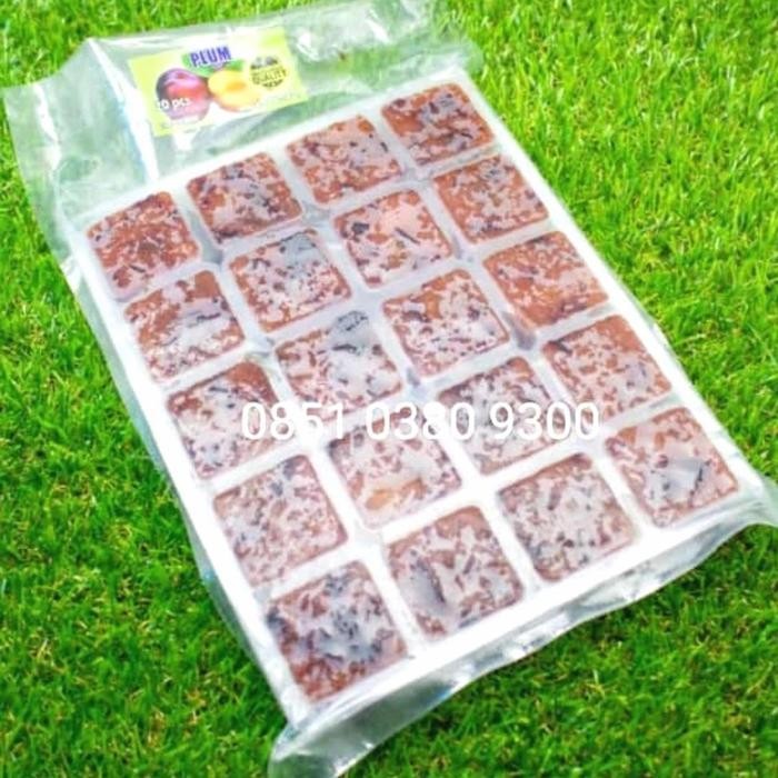 

LS PLUM TRAY BUAH BEKU KOTAK FROSEN FROZEN