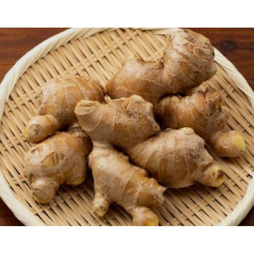 

Jahe Sayur Emprit Fress 500g Bergaransi Langsung Dari Petani