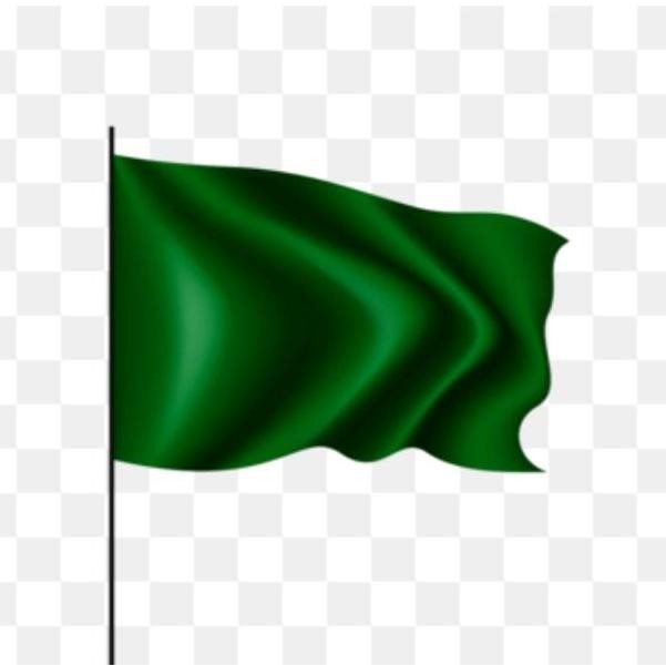 Bendera hijau, bendera polos,bendera kain,bendera hijau polos HARGA SPESIAL