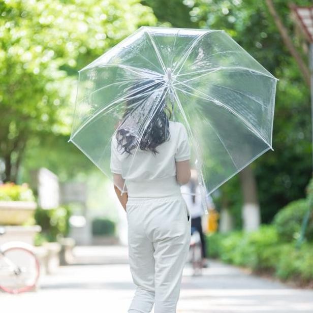 Payung Bening Transparan Payung Jepang Transparan