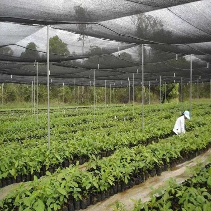 JARING PARANET 50% ( 1 Roll ) PANJANG 100 METER