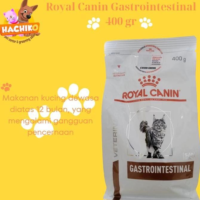 TERBARU - Royal Canin RC Cat Gastrointestinal 400gr