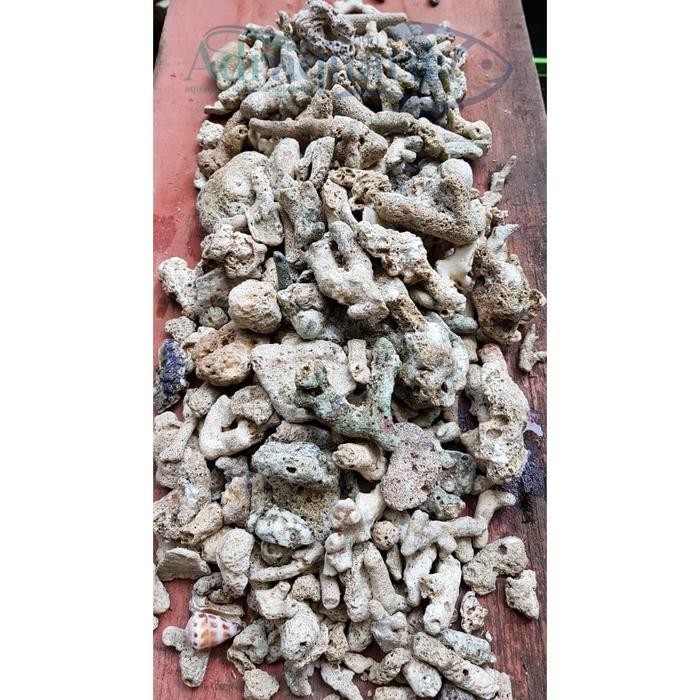 RAS BATU KARANG JAHE BESAR 1KG / 2KG MEDIA FILTER AQUARIUM AQUASCAPE