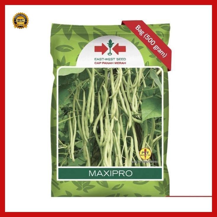 

(Terbaru) Benih Buncis Maxipro 500 Gram Buncis Maxi Pro Dari Panah Merah Bestseller