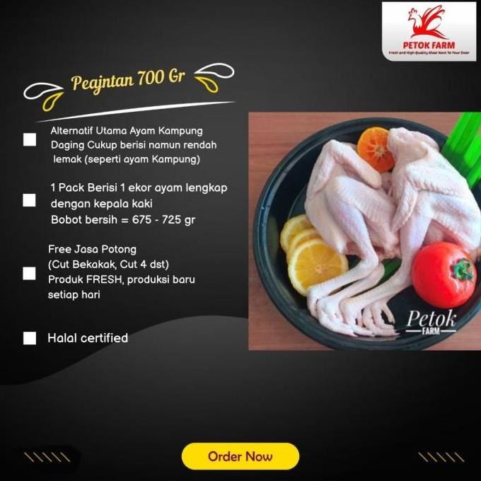 

Ayam Pejantan / Ayam Jawa Ukuran 700 gr