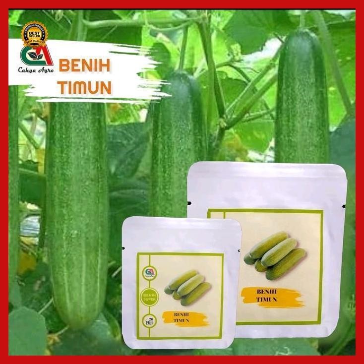 

(Terbaru) 20 Biji Mentimun Roket Putih Cap Kapal Terbang Bestseller