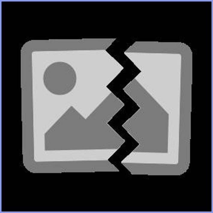 READY BANDAI PLAMO HG / HGFC GF13-011NC DRAGON GUNDAM TERLARIS