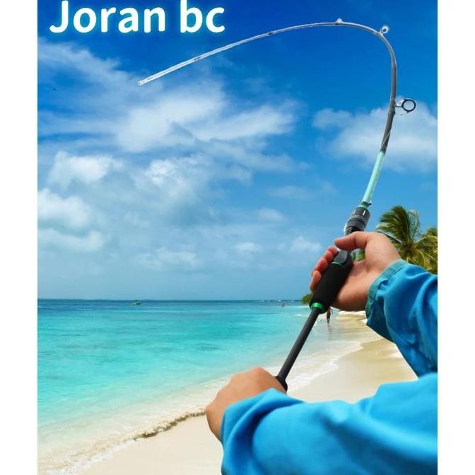 DAIWA Rod Casting Rod Spinning Rod Fishing BC Rod Jigging Joran Pancing Sea Fishing Pole Portable Ba