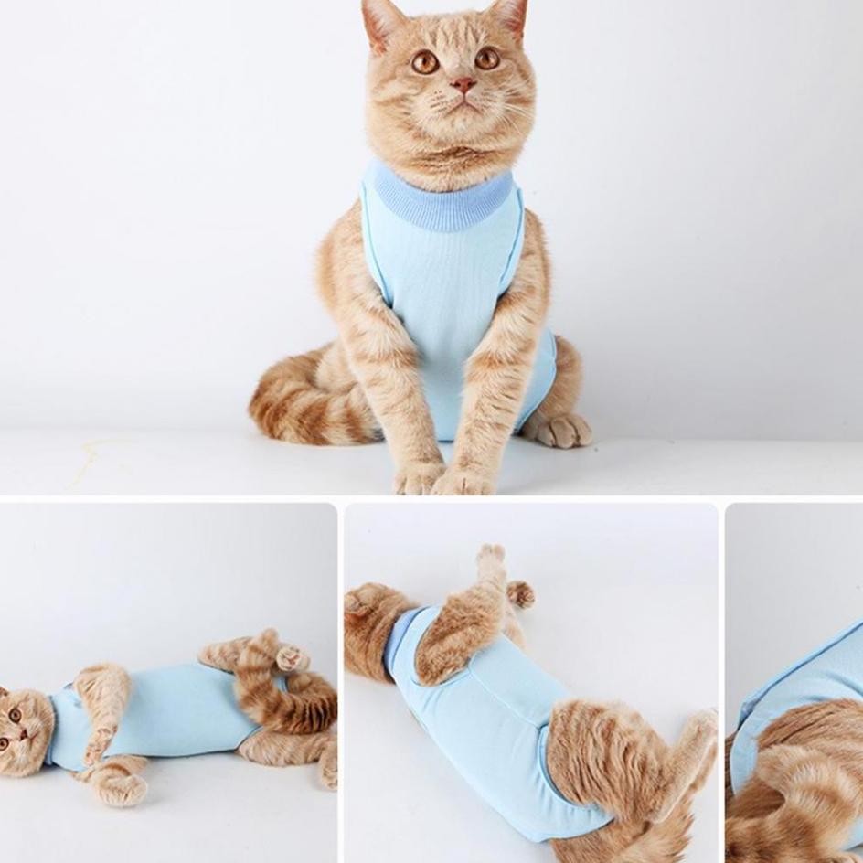 Baju Kucing Anjing Untuk Recovery Baju Steril Kucing Betina Baju Pasca Operasi Untuk Kucing Anjing