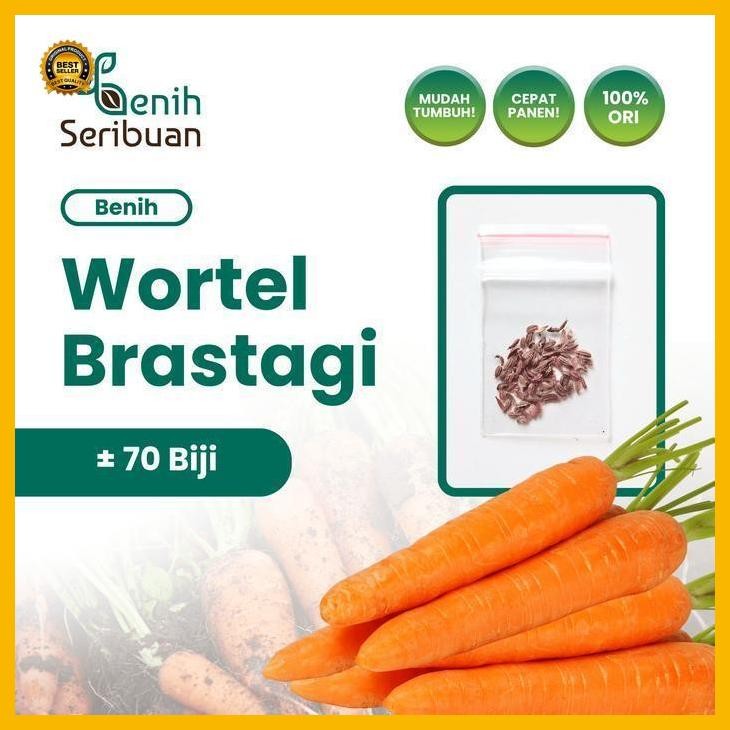 (Termurah) 70 Benih Wortel Brastagi Medan Bibit Tanaman Sayuran Buah Panjang Bestseller