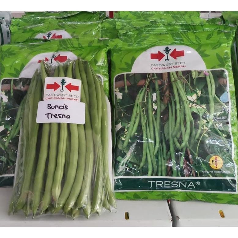 Benih Buncis Polong Hijau Tresna & Tresna Xl Original Panah Merah Isi 500Gr