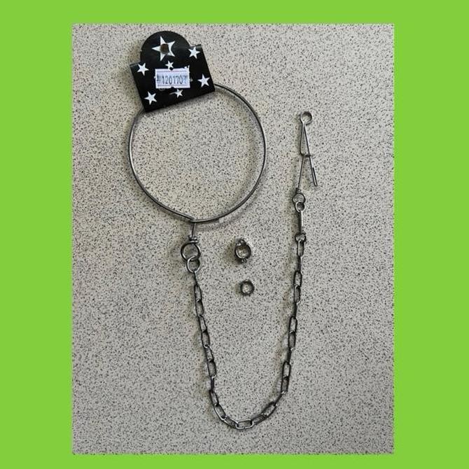 R05 Rantai Rante Burung Paltem Nuri Maluku Ambon Pelangi Duski Tanibar