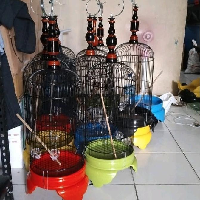 kandang pleci helopet pvc AS
