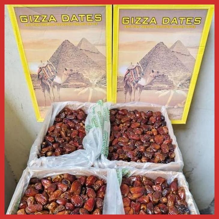 

SALE KURMA MESIR GOLDEN VALLEY 10 KG PREMIUM [BUMBU OLAHAN MAKANAN]