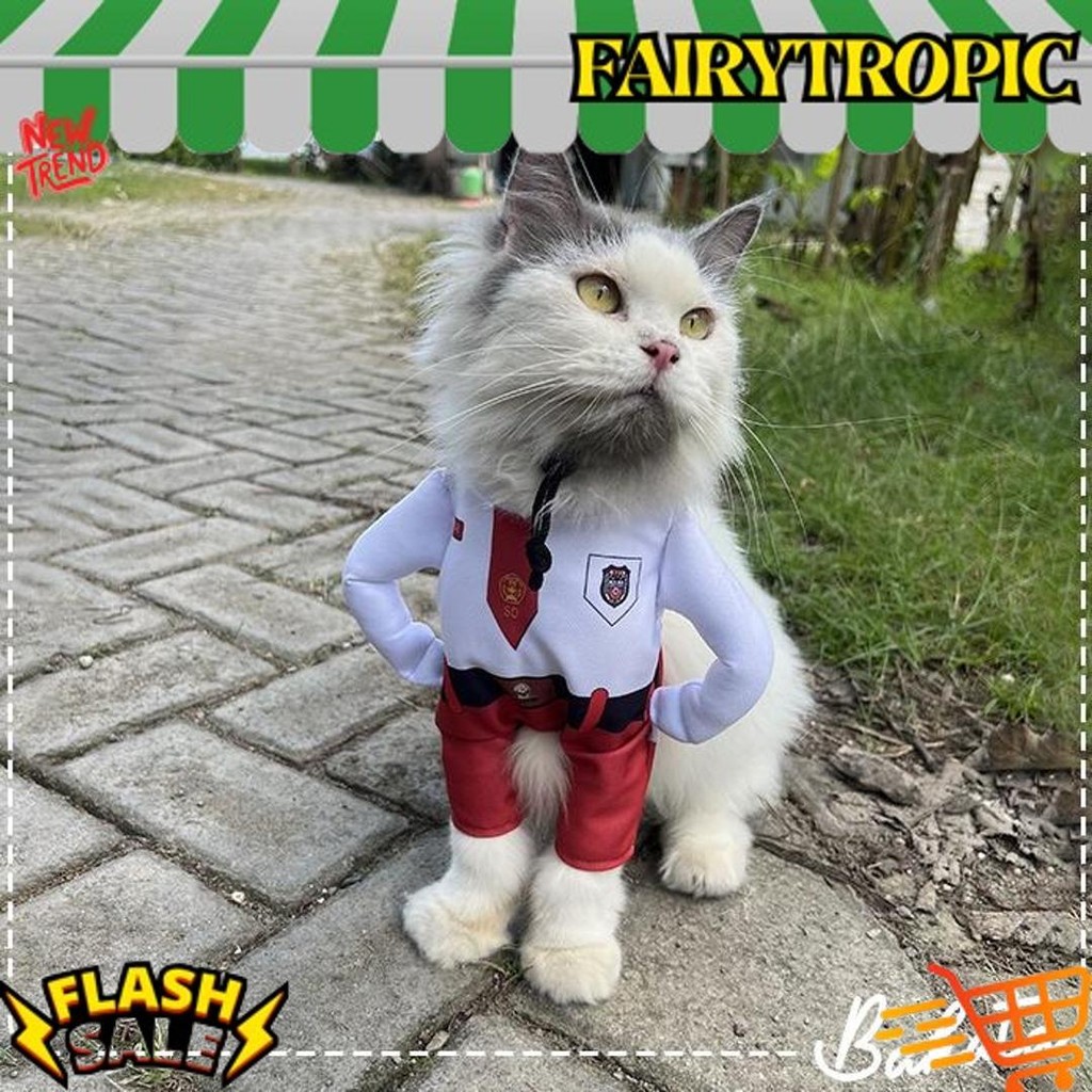 Baru [ ] Kostum Anak Sekolah untuk kucing Baju Berdiri anak SD / Kostum kucing size S-XL
