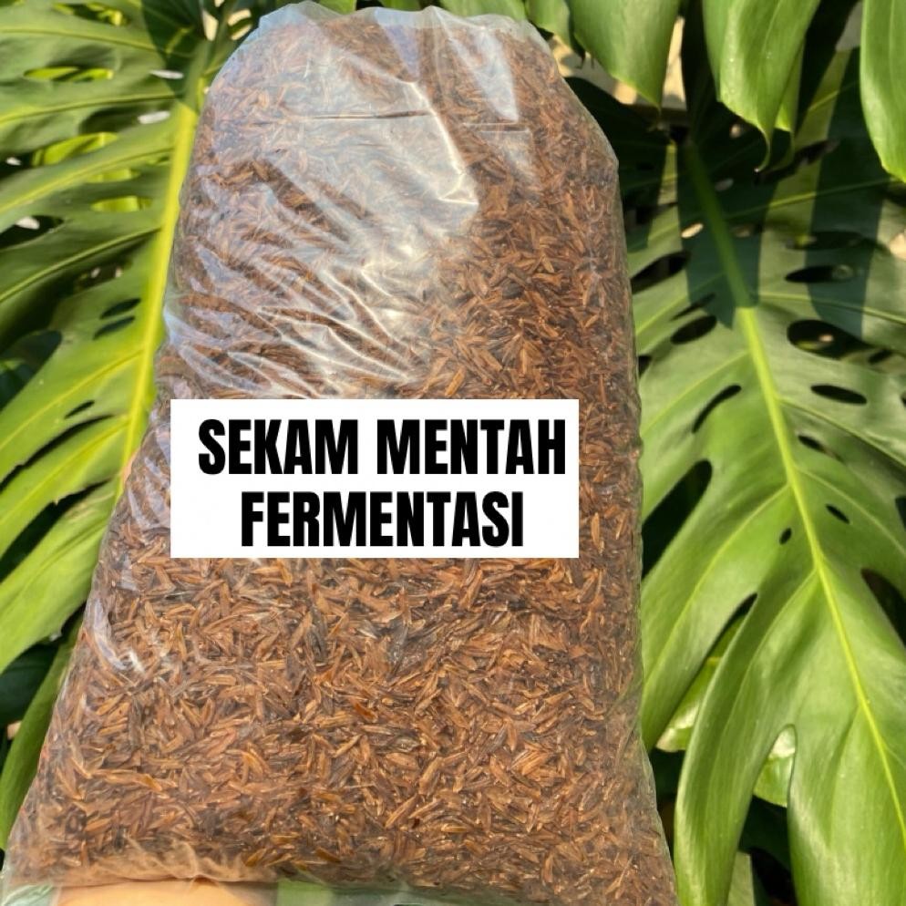 Promo Cod Sekam Bakar Sekam Mentah Fermentasi ...