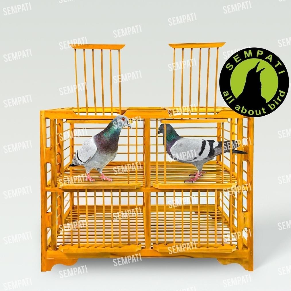 SEMPATI DONGDANG MERPATI KAYU JATI SUPER DONGDANG MERPATI 2 PASANG 4 PINTU KANDANG MERPATI SANGKAR D