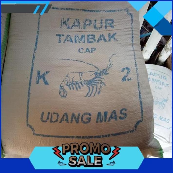 TERBAIK kapur dolomit alas reptil/kapur tambak untuk ikan&udang murah