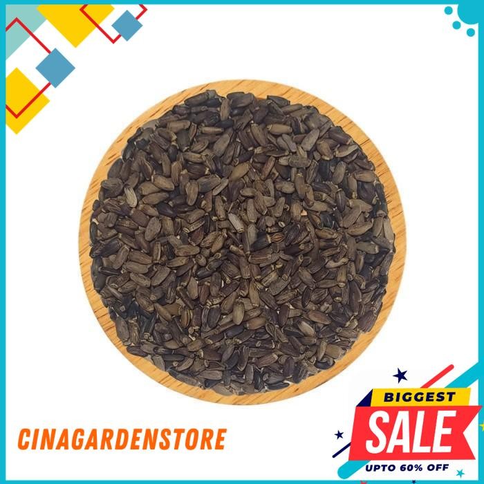 

BIJI SILYBUM MARIANUM / DRIED MILK THISTLE SEED / HERBAL SEEDS 15GR - 1KG OBRAL DISKON