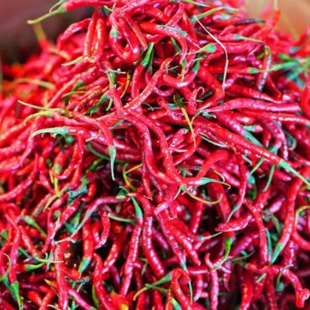 

New Cabe / Cabai Merah Keriting 500 gr
