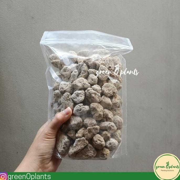 Pumice Besar Batu Apung Dasar Pot Size Xl 1Kg