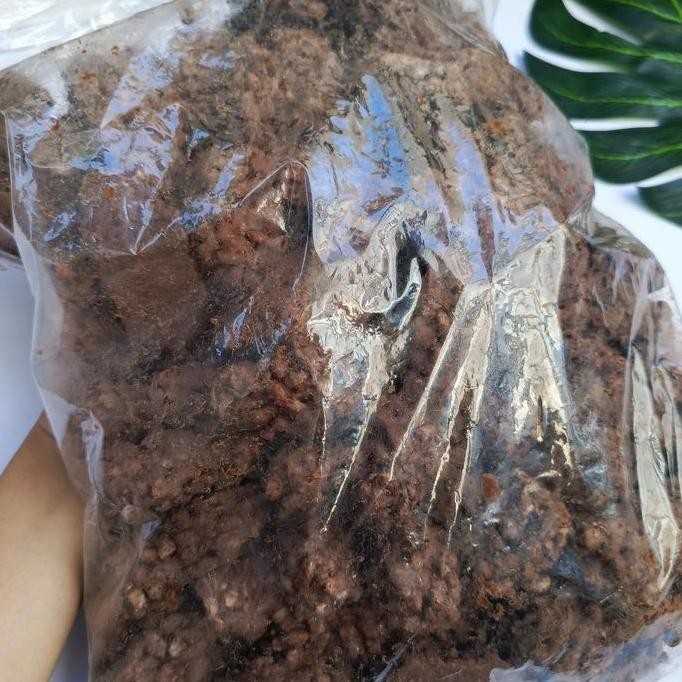 New PATAHAN TOP 1KG | COKLAT PATAHAN TOP KILOAN | COKELAT KILOAN | CHOCOLATE TOP