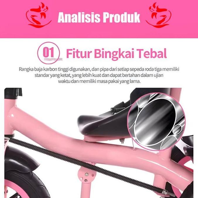 Dear Mummy Mall Sepeda Anak Keseimbangan 3 Roda 2 In 1 Dengan Pegangan Dorong & Tanpa Pegangan Cocok