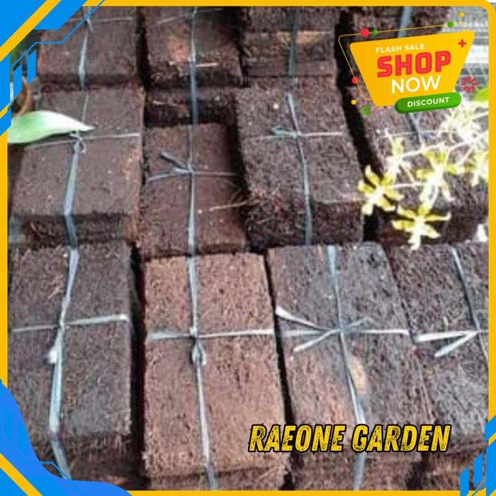 ANGGREK PAPAN PAKIS + GANTUNGAN PRODUK PILIHAN