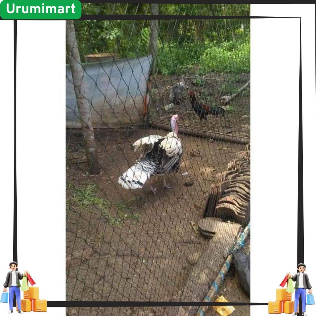 Top Seller JARING PAGAR SERBAGUNA 3X10 METER LUBANG 2CM X 2CM JARING PAGAR AYAM JARING AYAM JARING P