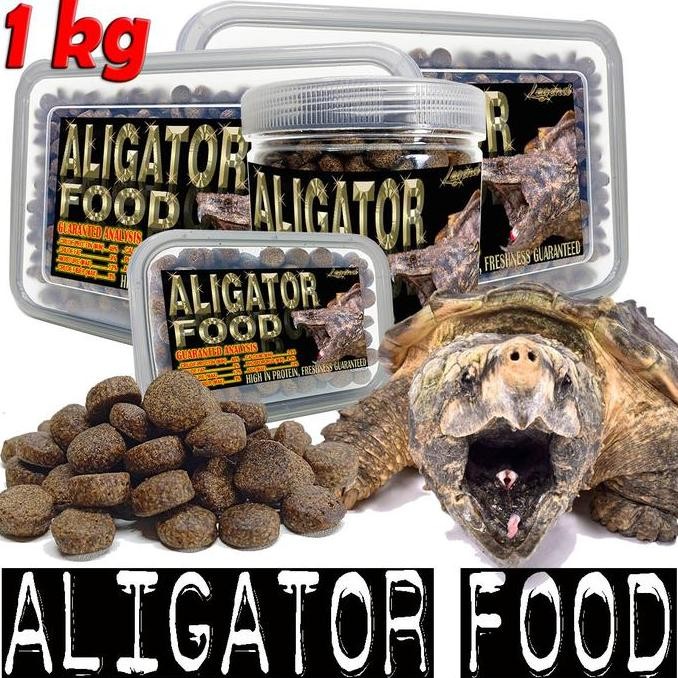 NEW ALIGATOR FOOD PELET PAKAN REPTILE KURA AIR COMMON SNAPPING TURTLE CST