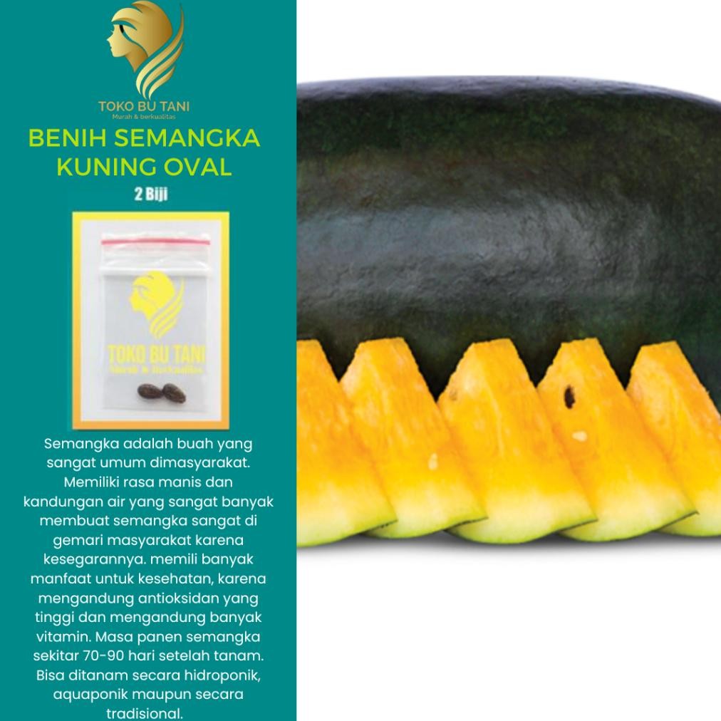Benih Buah Semangka Kuning Lonjong Bibit Buah Semangka Kuning Oval Benih Buah-Buahan Berkualitas